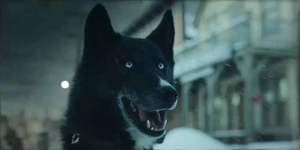 「トーゴー」の画像