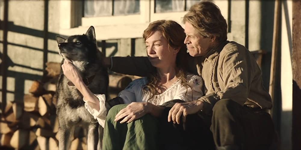 トーゴーの画像