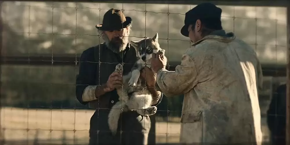 「トーゴー」の画像