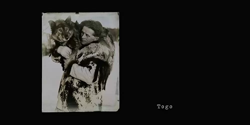 「トーゴー」の画像