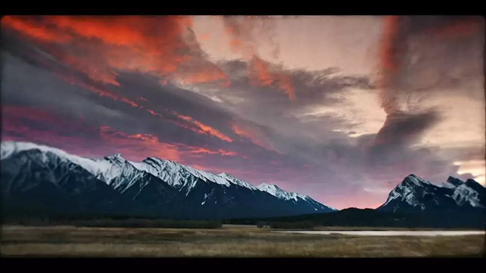 「トーゴー」の画像