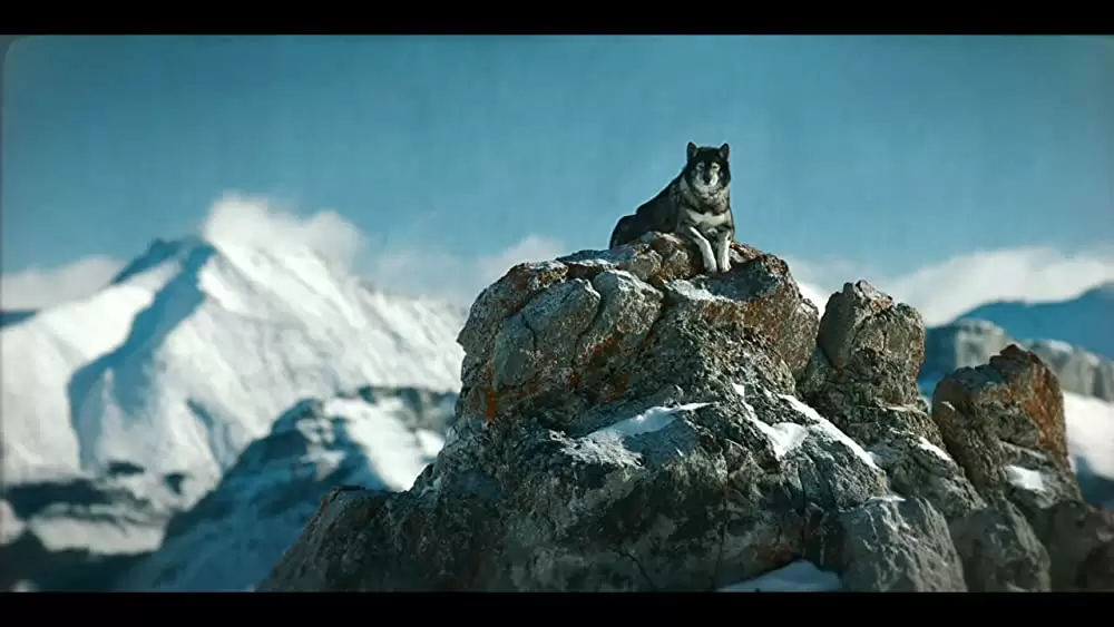 「トーゴー」の画像