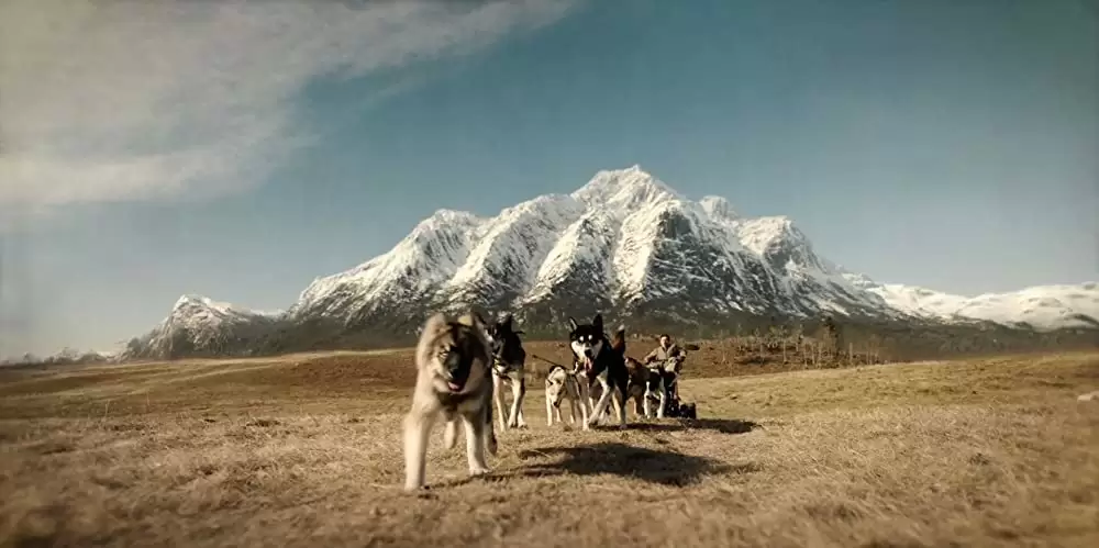 「トーゴー」の画像