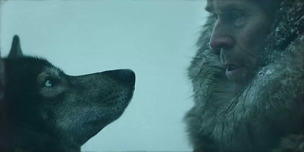 「トーゴー」の画像