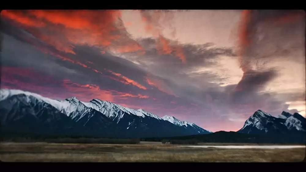 「トーゴー」の画像