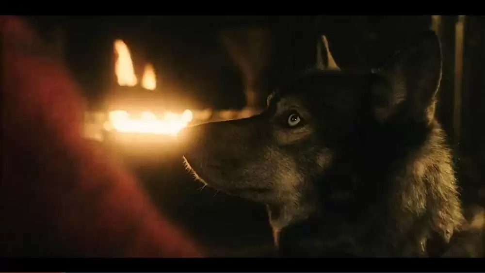 「トーゴー」の画像