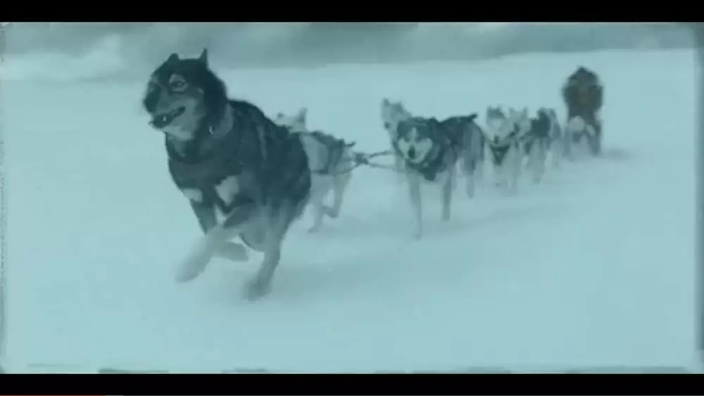 「トーゴー」の画像