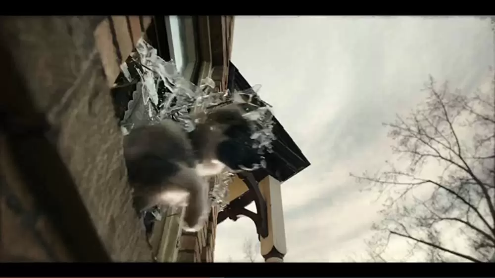 「トーゴー」の画像