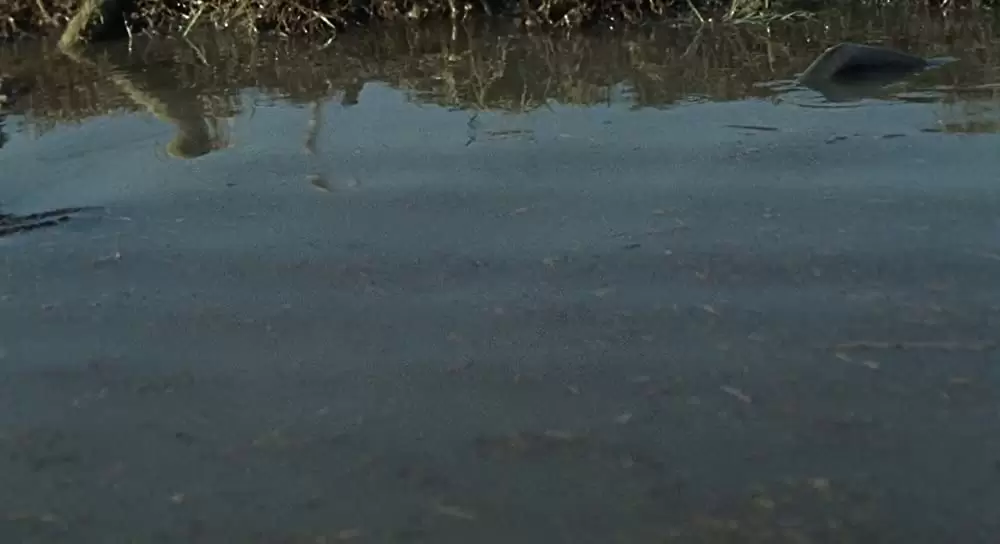 ハッシュパピー バスタブ島の少女の画像