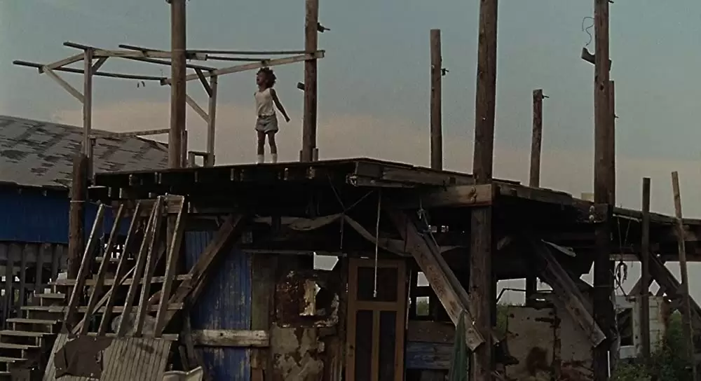 「ハッシュパピー バスタブ島の少女」クワベンジャネ・ウォレスの画像