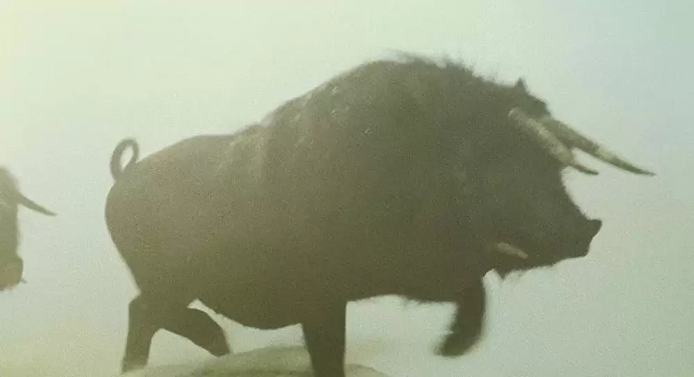 ハッシュパピー バスタブ島の少女の画像