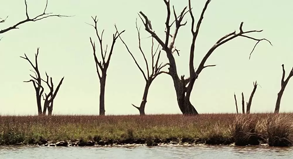 ハッシュパピー バスタブ島の少女の画像