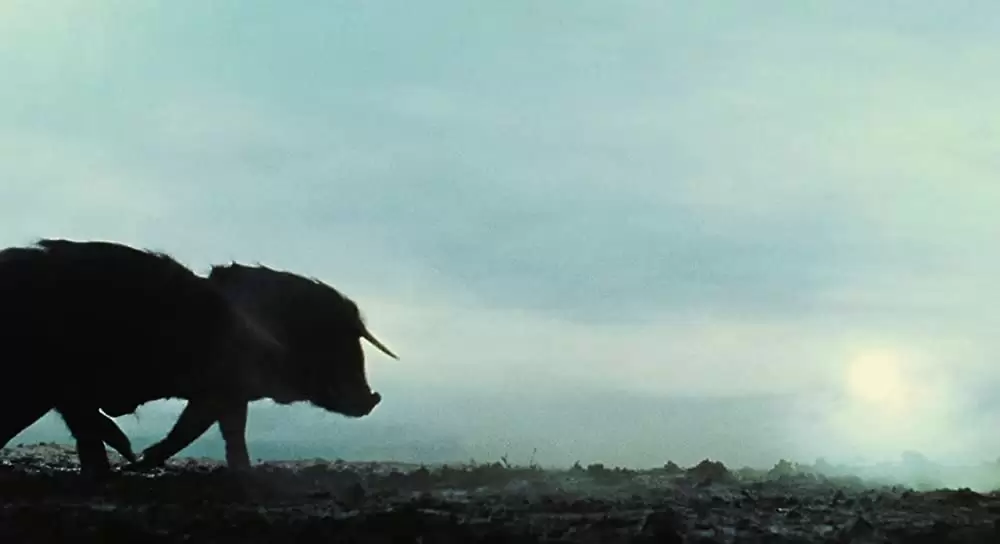 ハッシュパピー バスタブ島の少女の画像