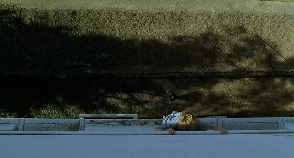 キャンディマンの画像