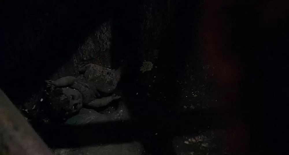 キャンディマンの画像