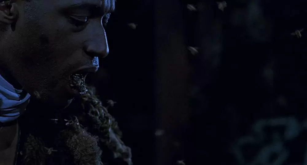 キャンディマンの画像