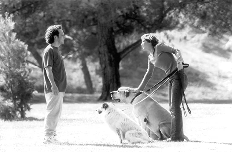 アニマルマンの画像