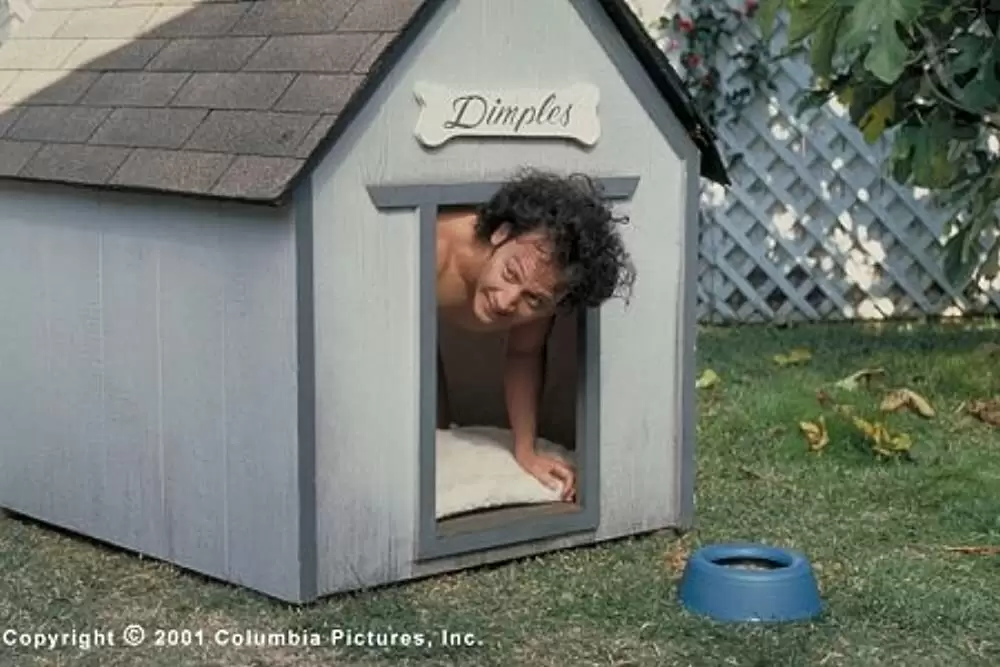 アニマルマンの画像