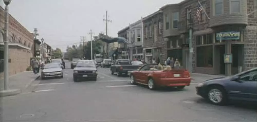 アニマルマンの画像