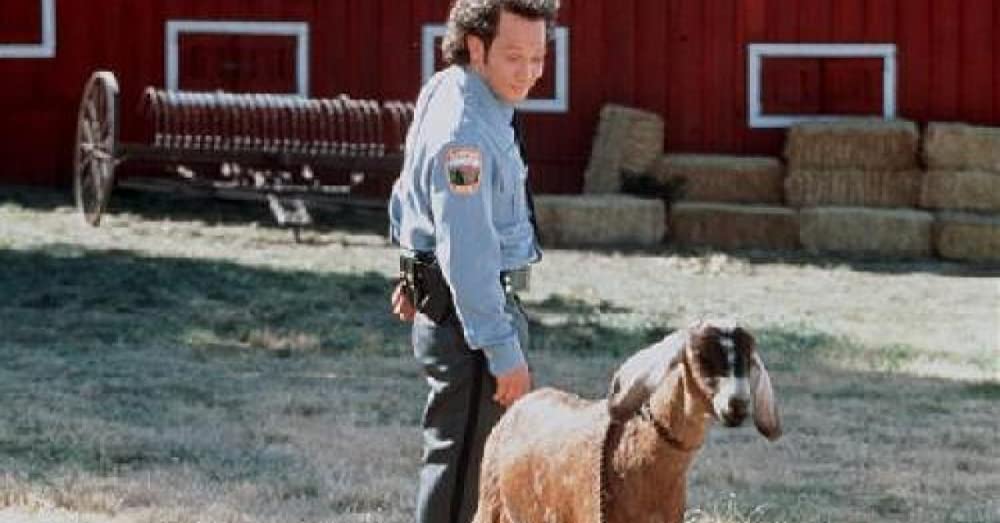 アニマルマンの画像