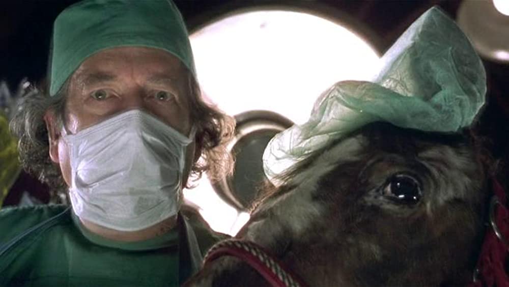 アニマルマンの画像