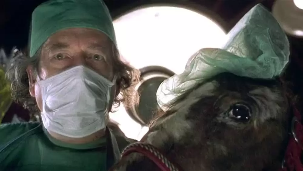 「アニマルマン」Michael Catonの画像