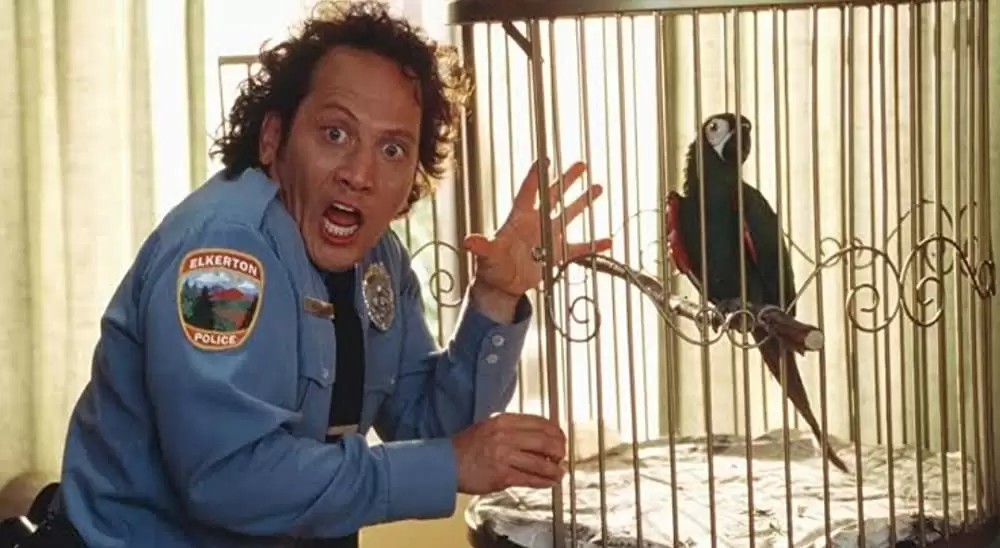 アニマルマンの画像