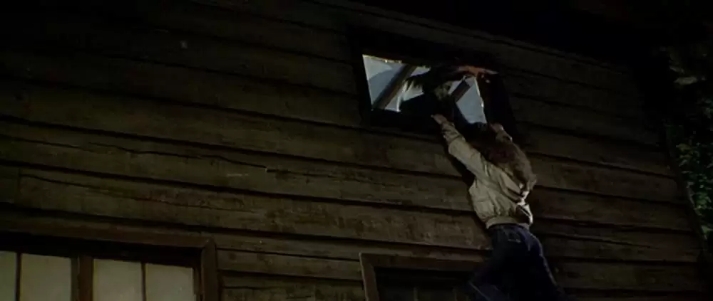 「13日の金曜日PART3」Richard Brooker & ダナ・キメルの画像