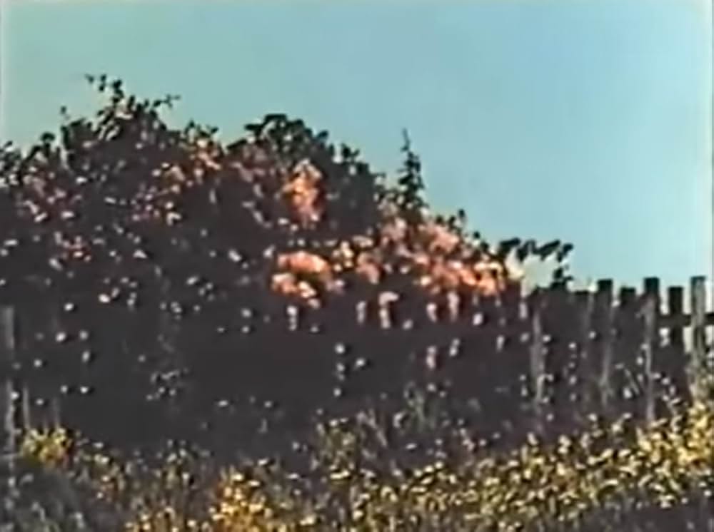 All My Life（原題）の写真