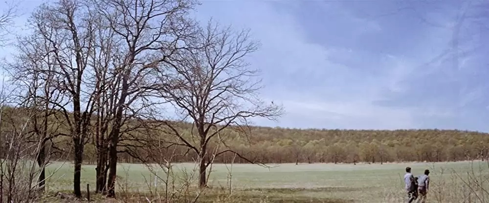 アウトサイダーの画像