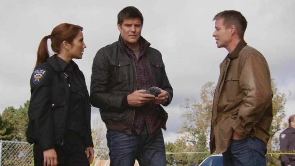 ストーム・インパクトの画像