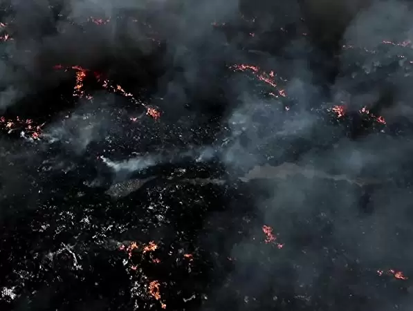 魂のゆくえの画像