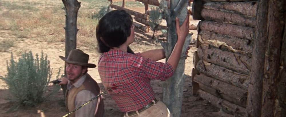 Five Bloody Graves（原題）の画像