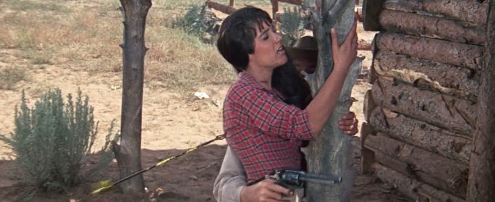 Five Bloody Graves（原題）の画像