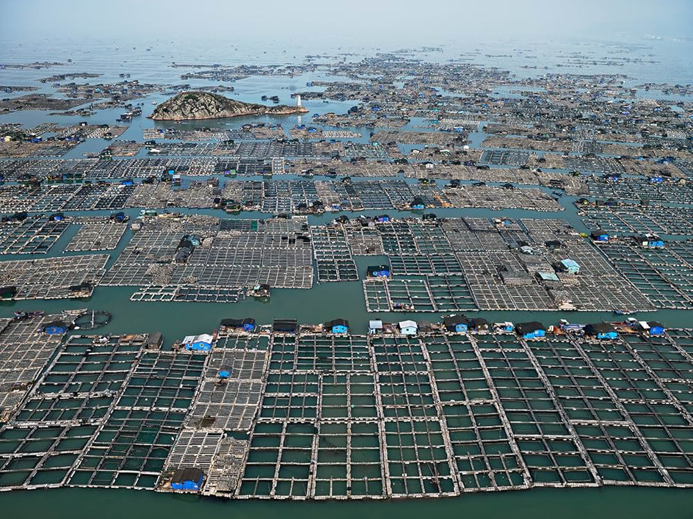 ライフ・ウィズ・ウォーター 水とともに生きるの画像