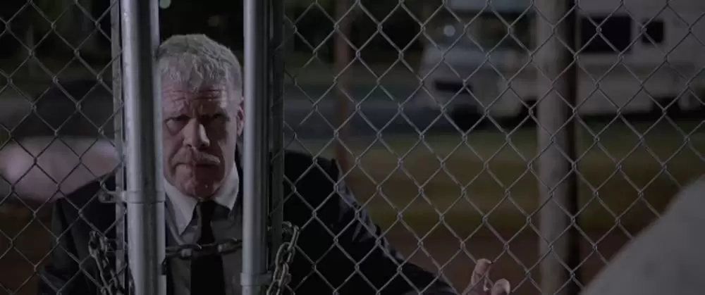 「13の選択」ロン・パールマンの画像