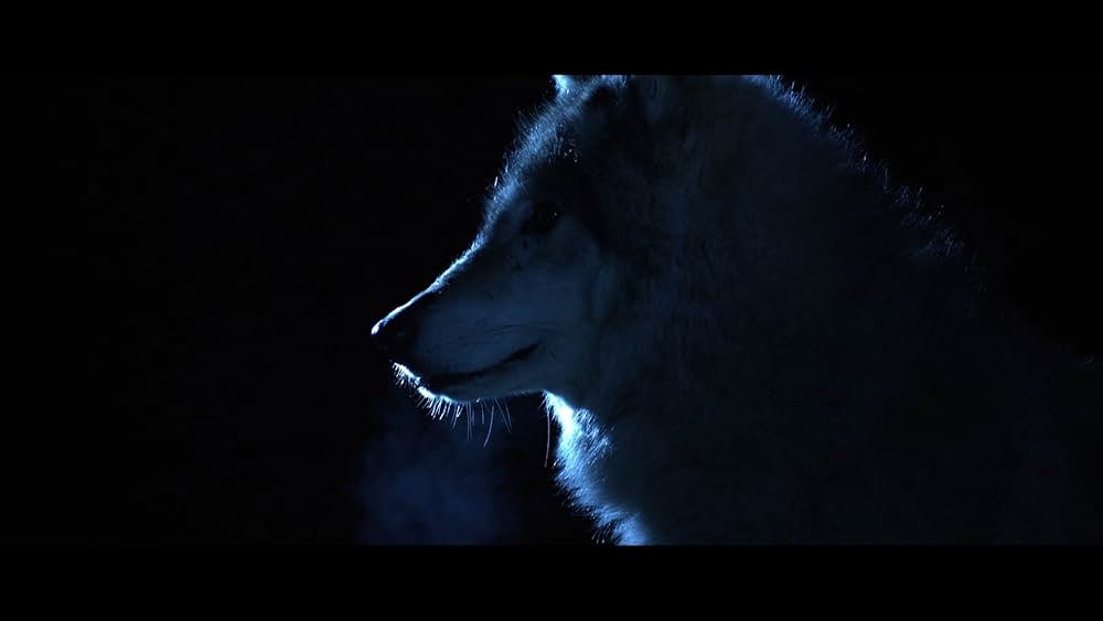 Horsehead（原題）の画像