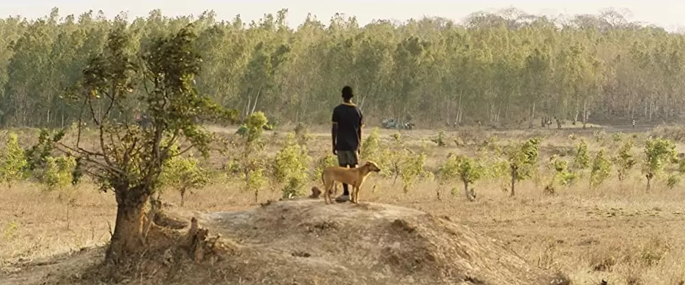 「風をつかまえた少年」Maxwell Simbaの画像