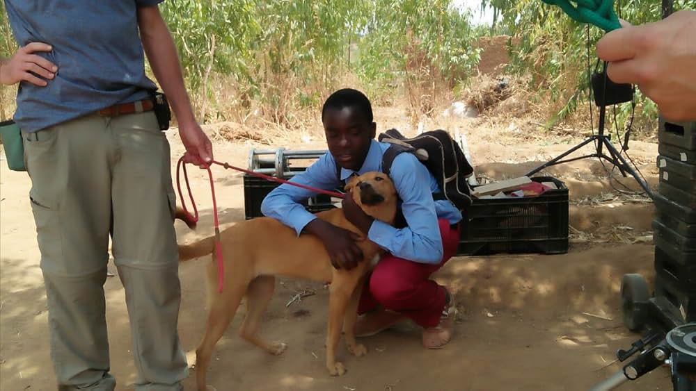 風をつかまえた少年の画像