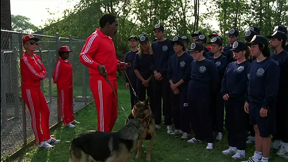 ポリスアカデミー3／全員再訓練！の画像