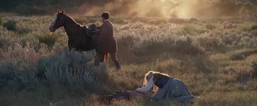 遥かなる大地への画像