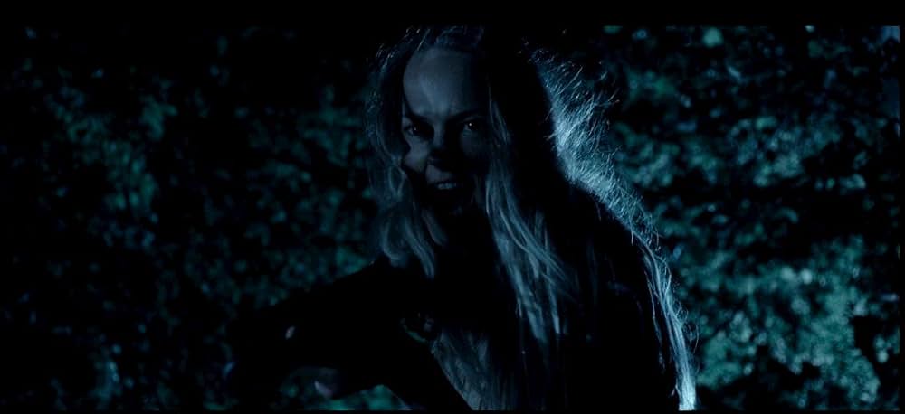 レザーフェイス―悪魔のいけにえの画像