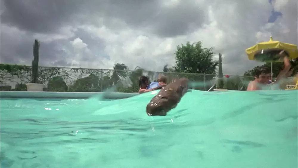 ボールズ・ボールズの画像