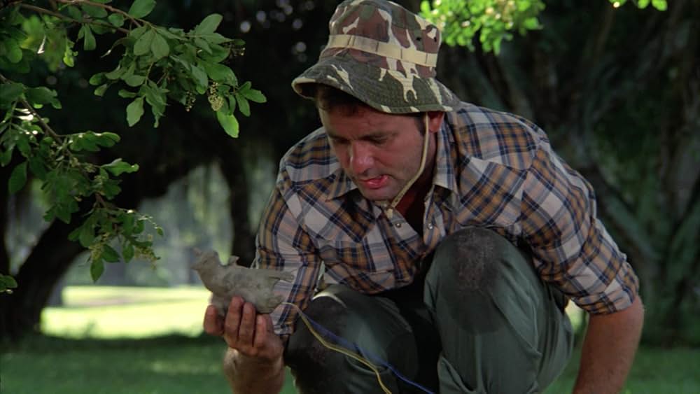 ボールズ・ボールズの画像