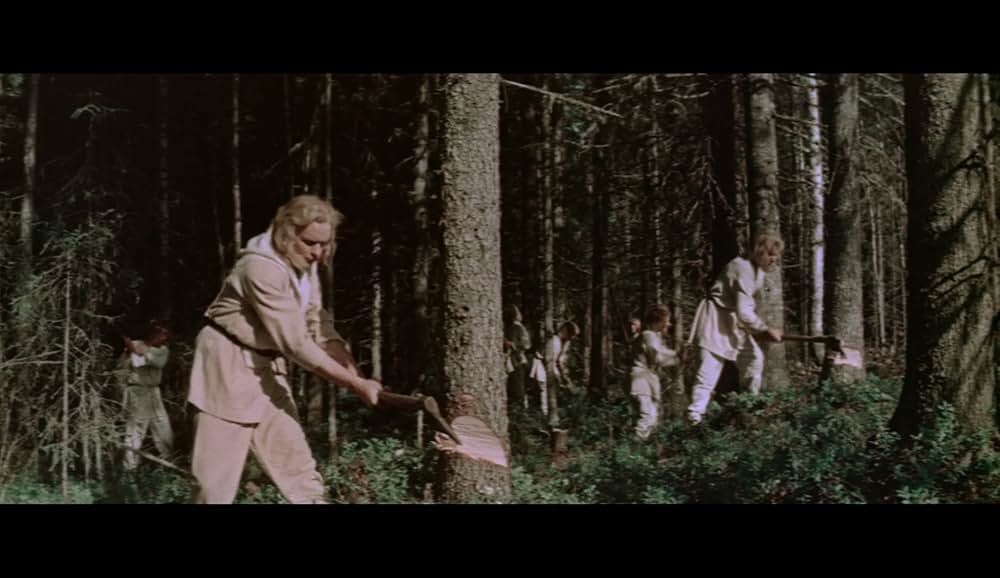 魔法の水車サンポの画像