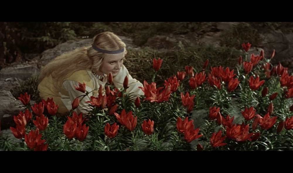 魔法の水車サンポの画像