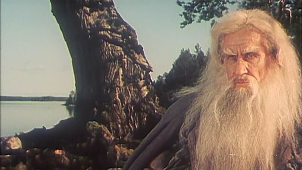 魔法の水車サンポの画像