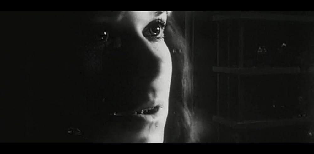 Dream Work（原題）の画像