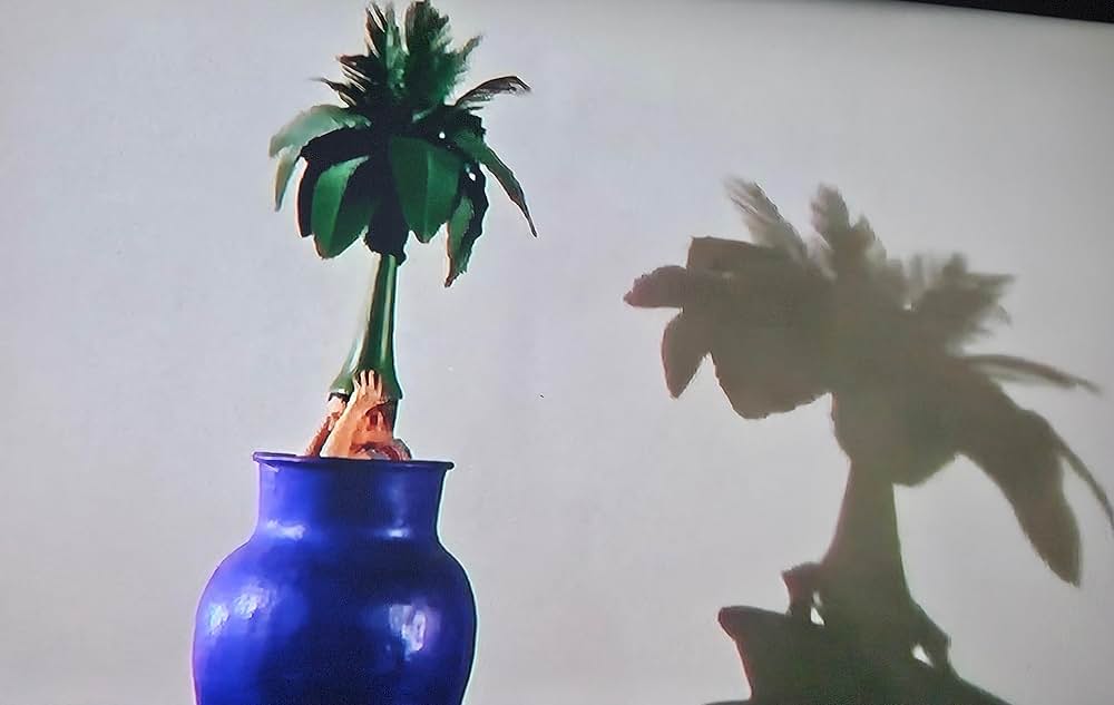 ドクターTの5000本の指の画像