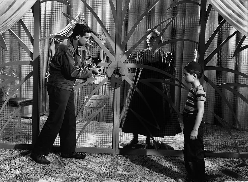 ドクターTの5000本の指の画像